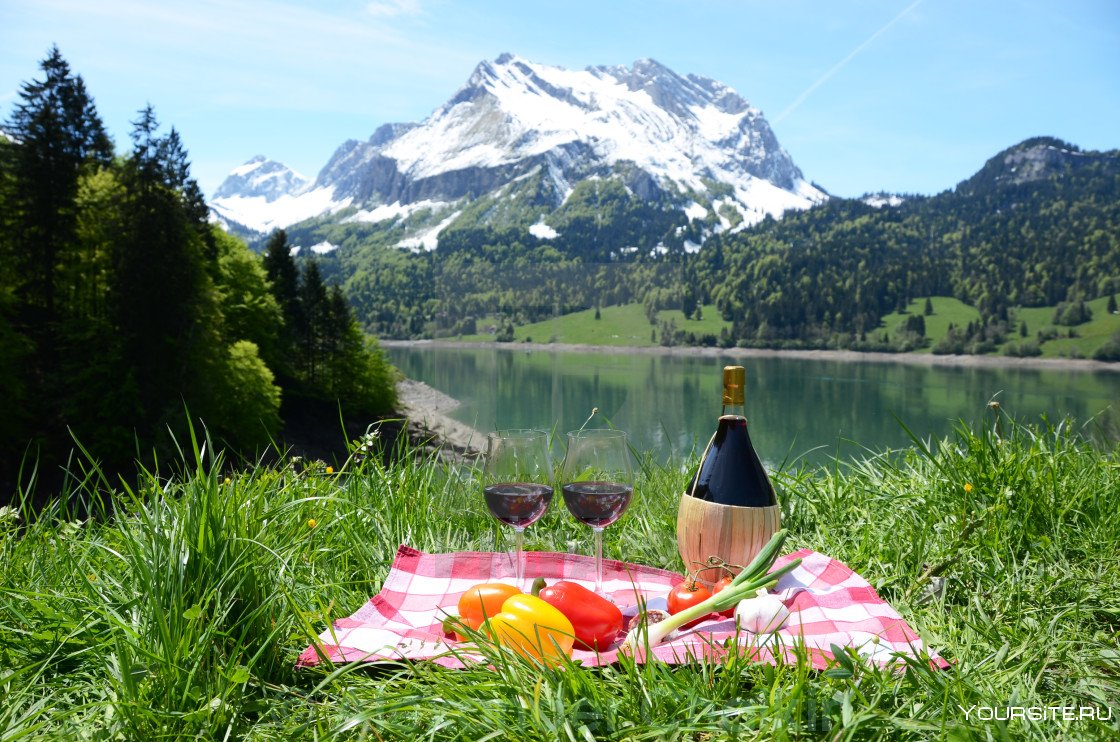 Пикник в горах с вином