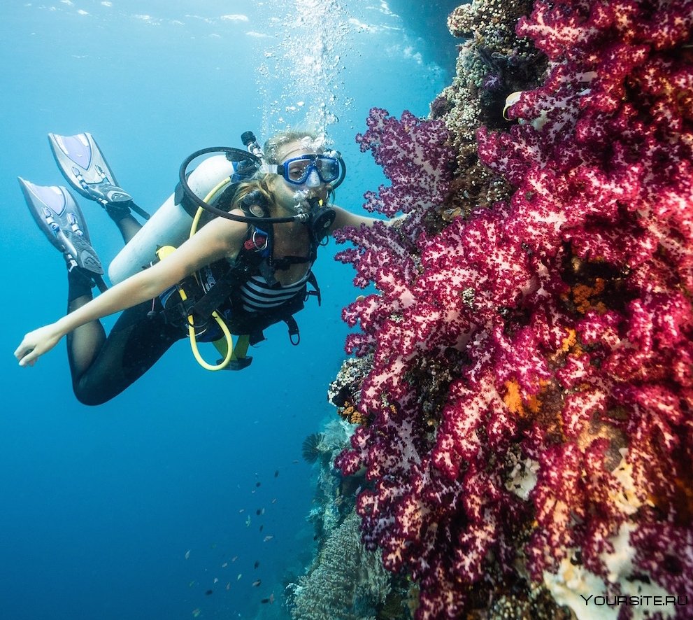 Камера для съемки под водой на море