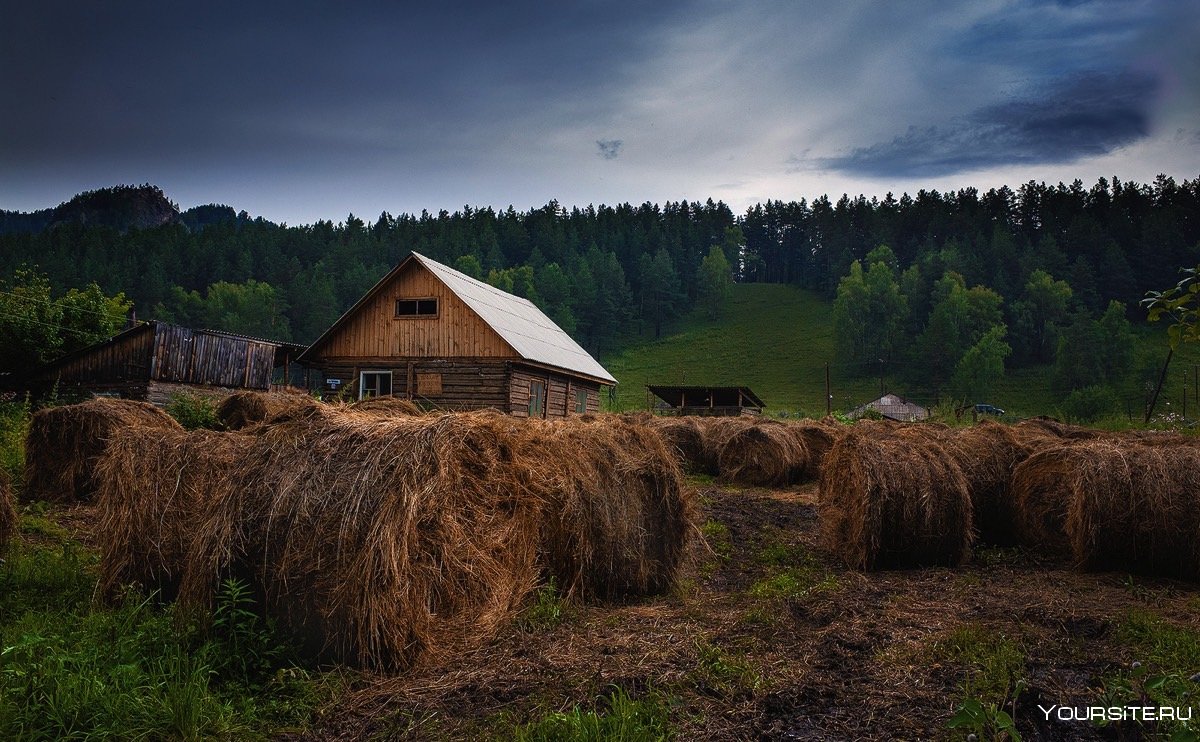 Сельская местность