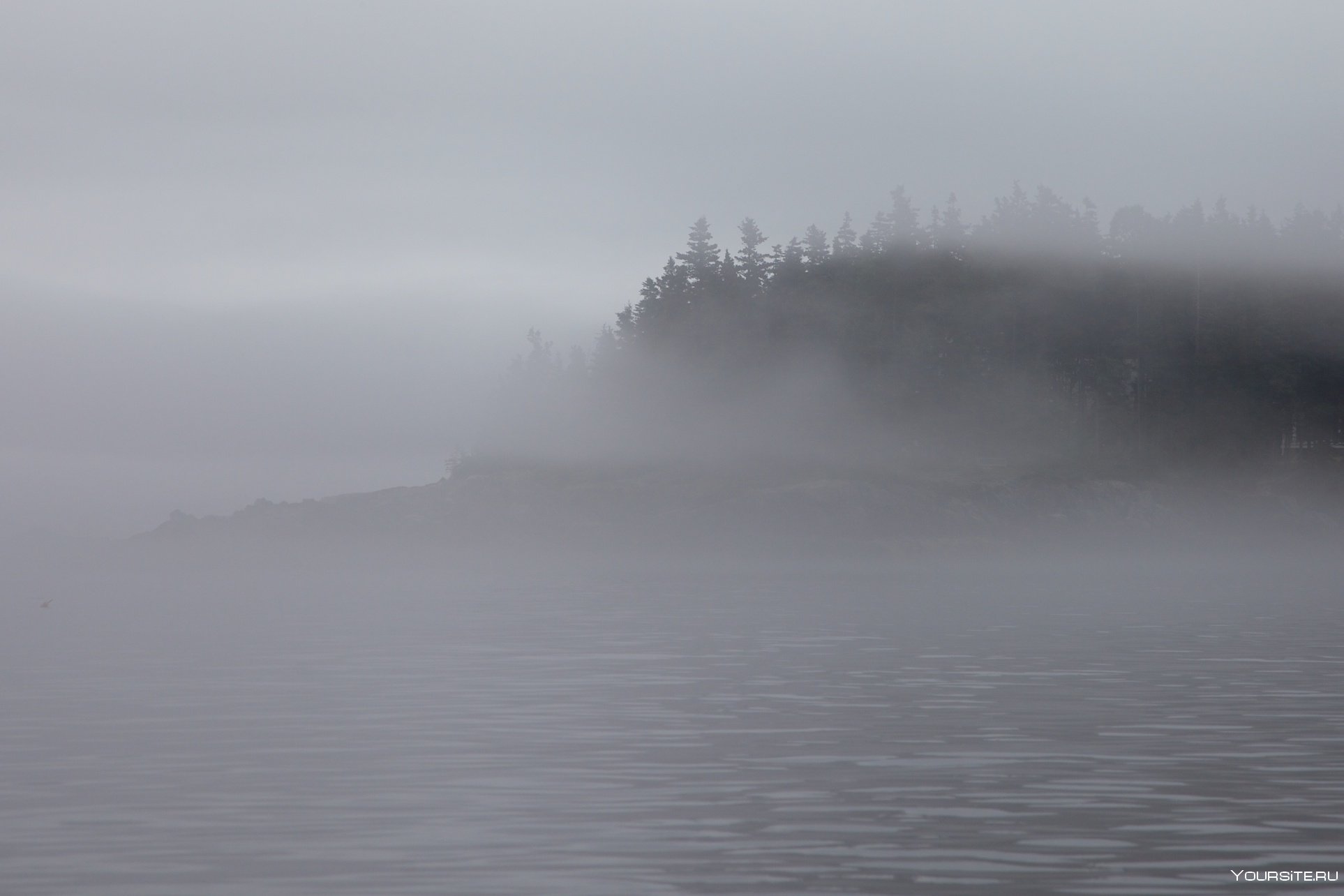 Стелется пелена. Море в тумане. Озеро в тумане. Густой туман. Побережье в тумане.