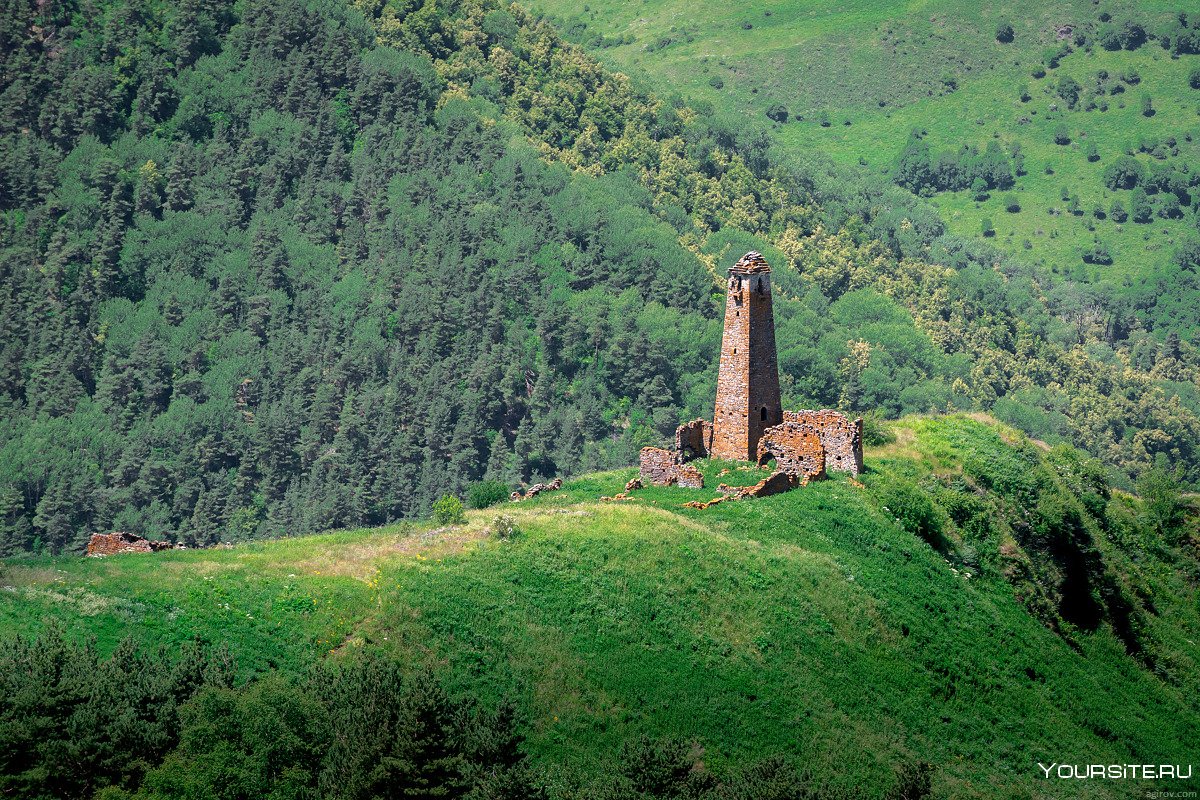 Ингушетия Кязи башенный