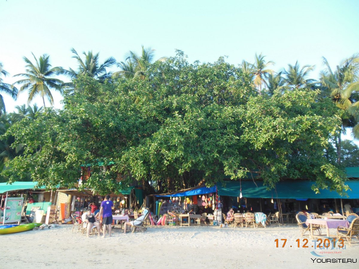 Аюрведа суди рядом с the Lalit Resort Palolem