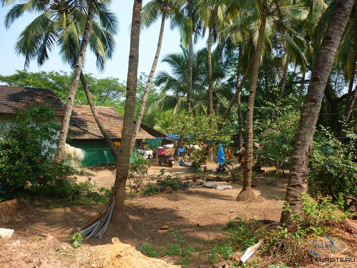 Аюрведа суди рядом с the Lalit Resort Palolem