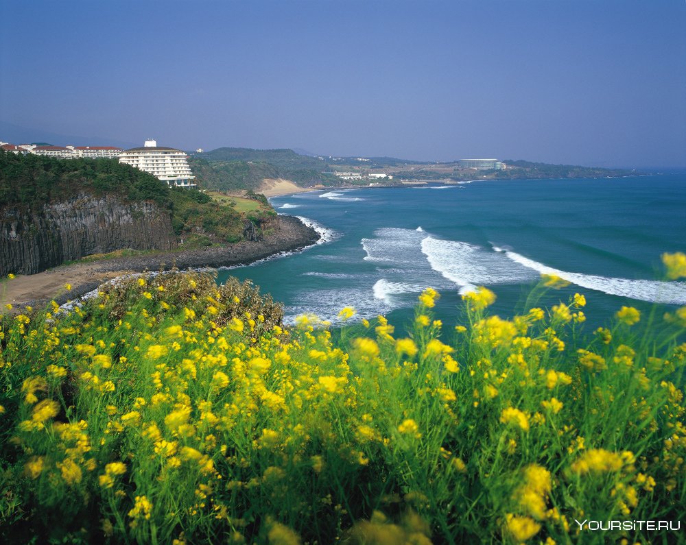 Скалы Чусангчолли (Jusangjeolli Cliffs), Южная Корея