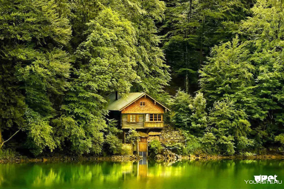 Дом Каленов в лесу у озера