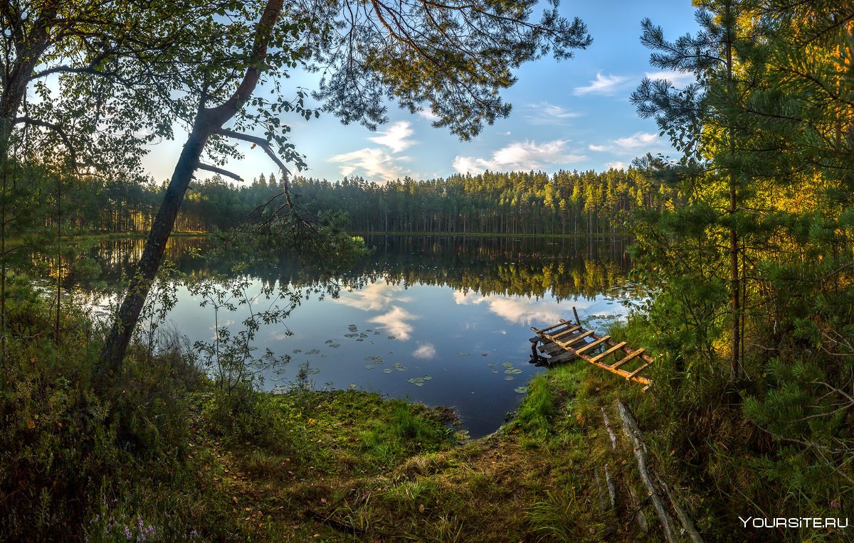 Лесное озеро в Ленинградской области