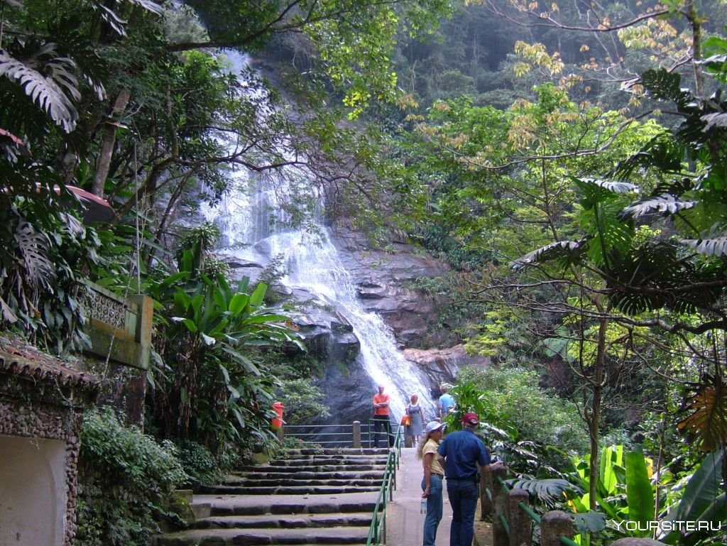 Национальный парк Тижука в Рио-де-Жанейро