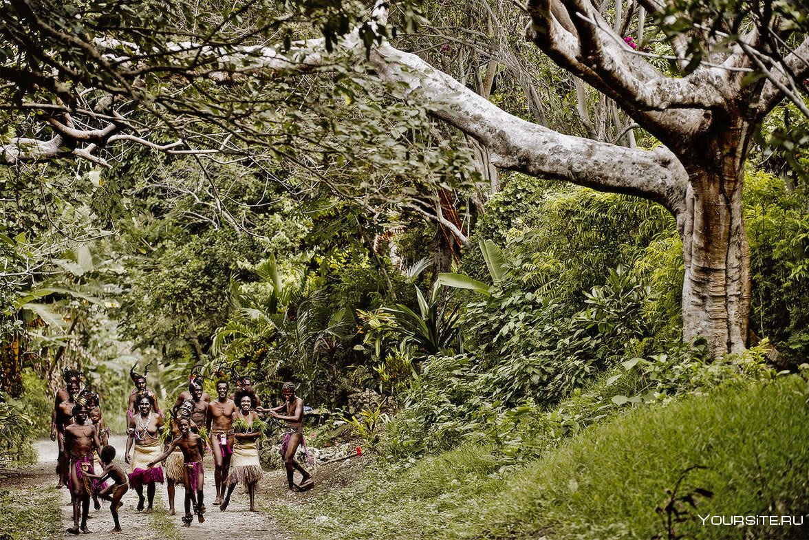 Племя Вануату