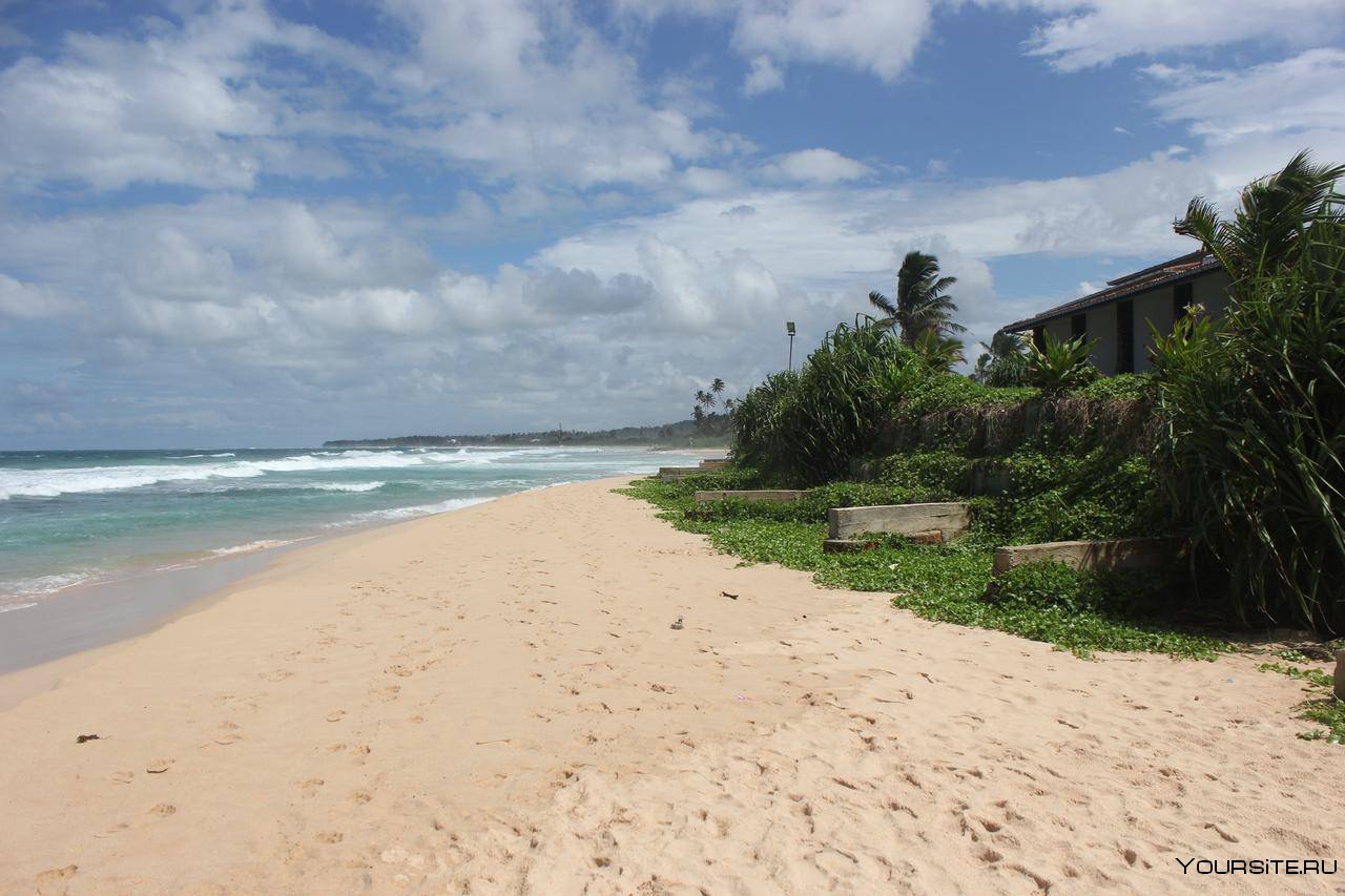 The beach шри ланка. Коггала Шри Ланка. Коггала Виладж. Пляж Коггала Шри Ланка. Koggala Beach 3 Шри Ланка.