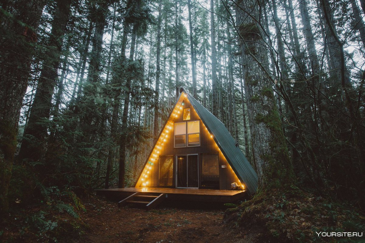 Уютный домик в лесу