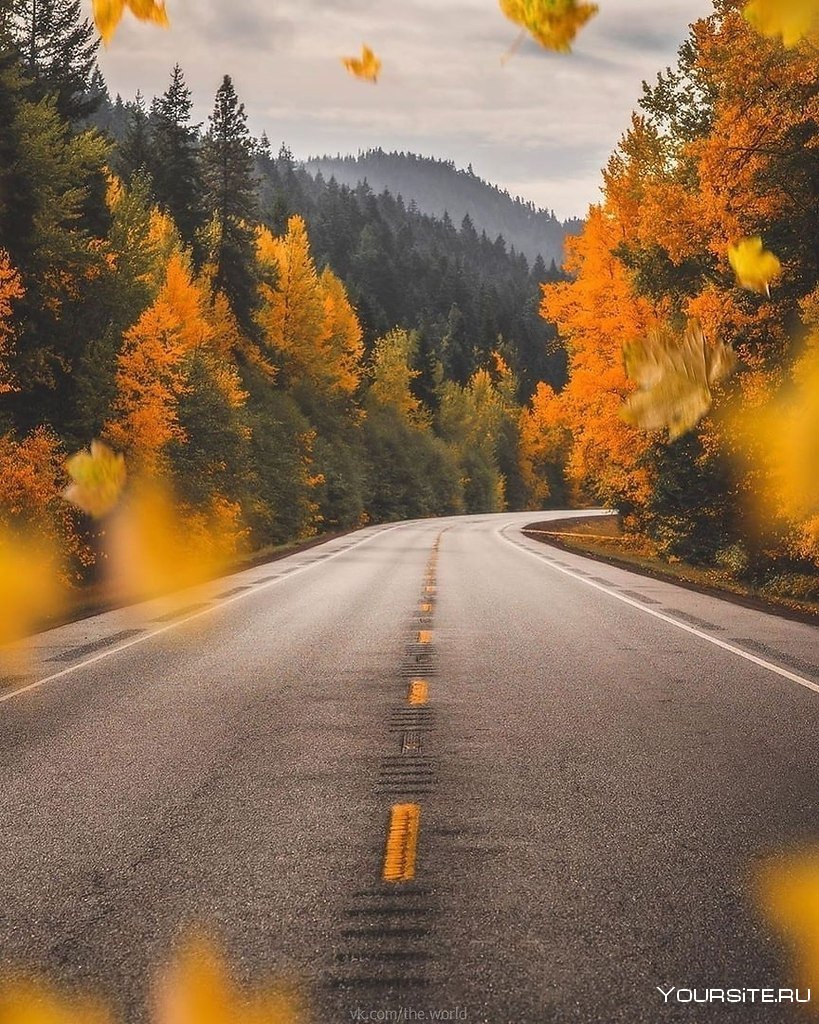 Осень машина дорога