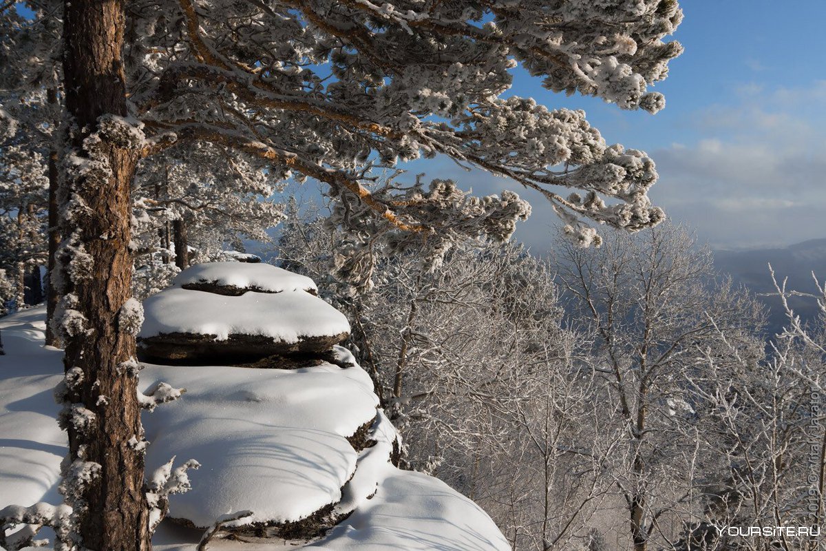 Белокуриха Алтай зима