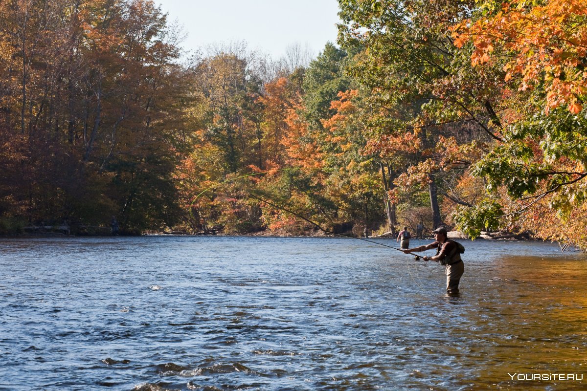 Осенняя рыбалка женщины