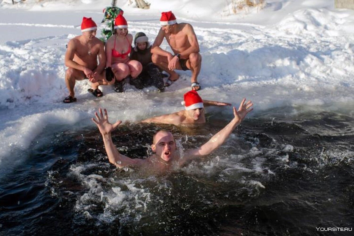 Хоккей купание. Купание зимой. Рождественские купания. Купание моржей. Моржи купаются.