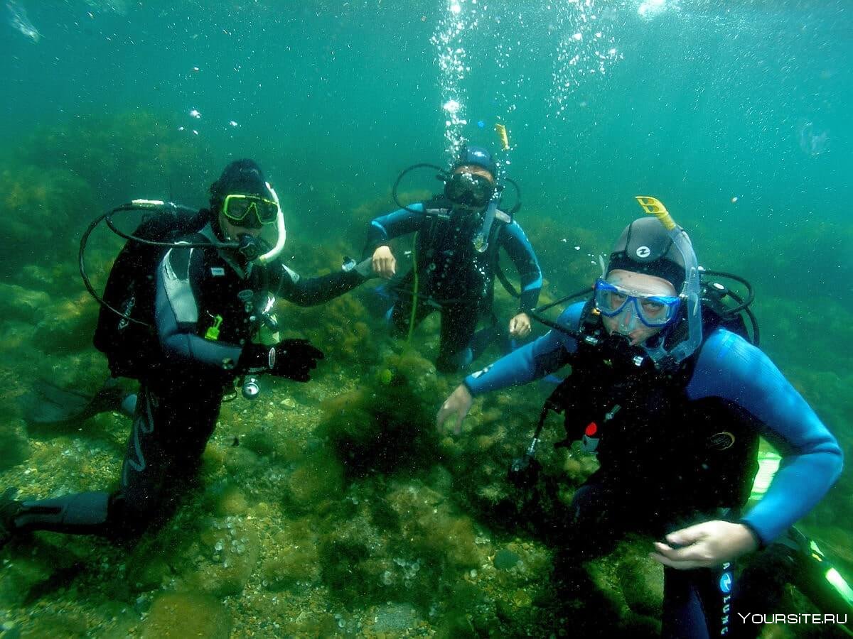 Black Sea Divers Балаклава