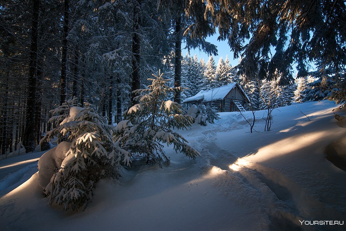 Зимний лес домик в лесу