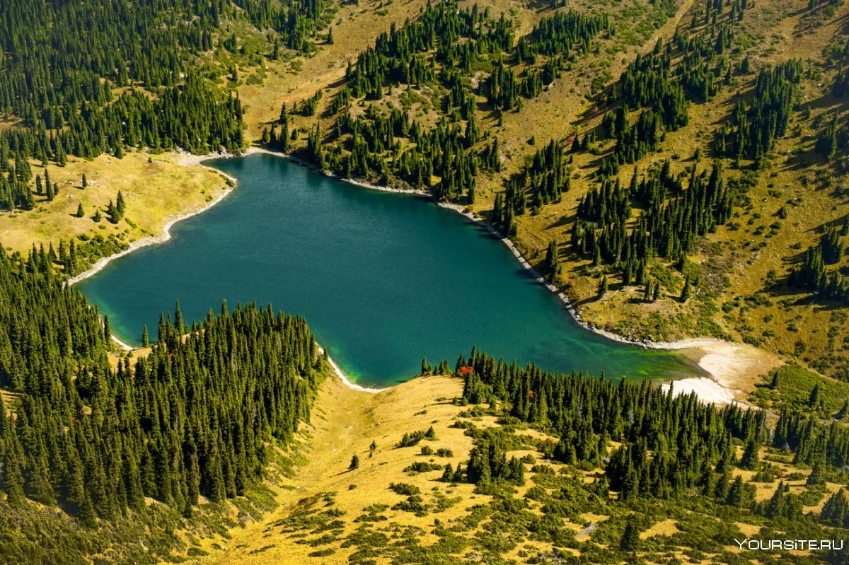 Природа Казахстан Кольсайские озера