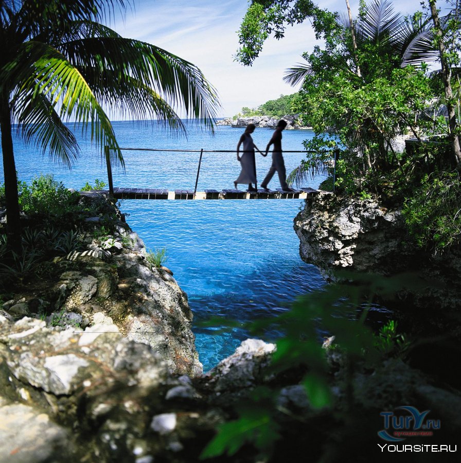 Остров Ямайка природа