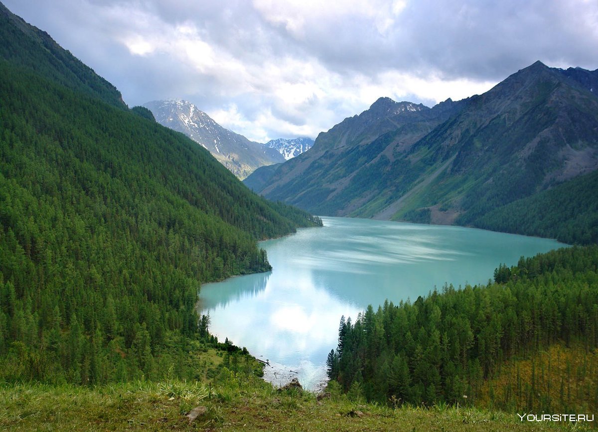 Река Шавла горный Алтай