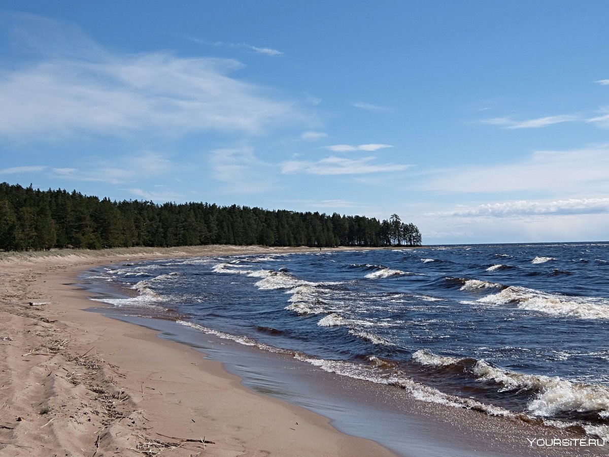 Балтийское побережье Прибалтика