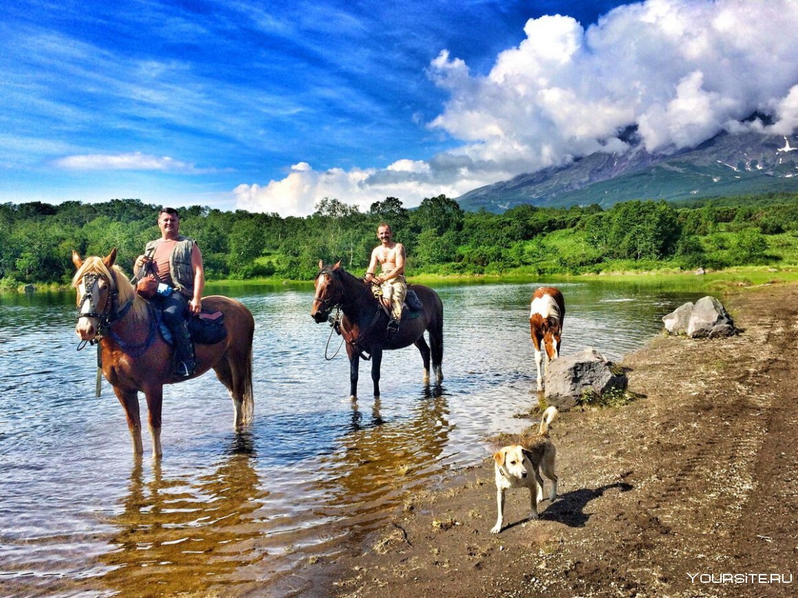 Северная Осетия лошади