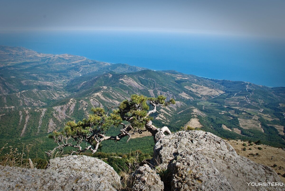 Ялтинская яйла