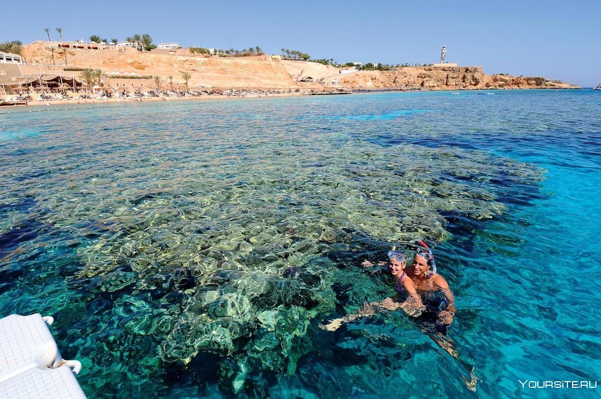 Египет Шарм-Эль-Шейх Reef Oasis