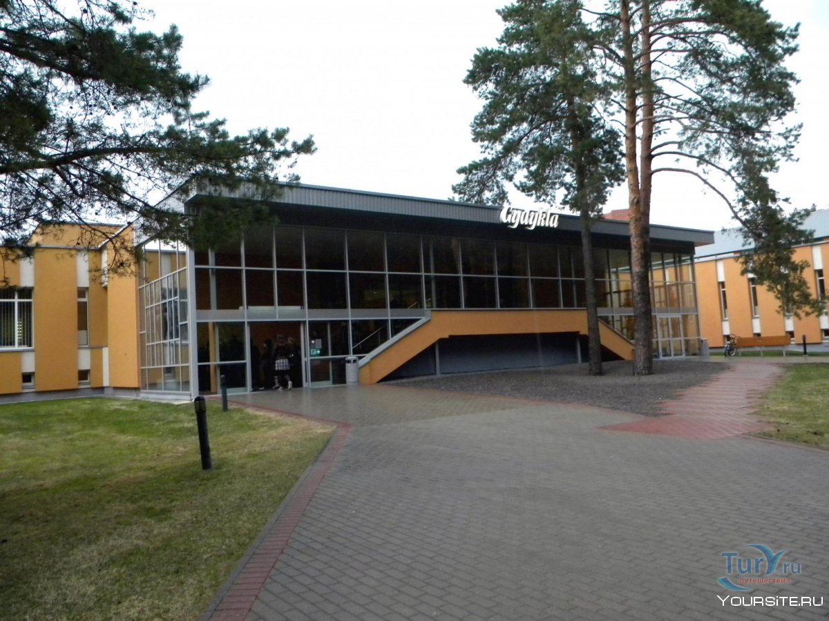 Средняя школа Друскининкай