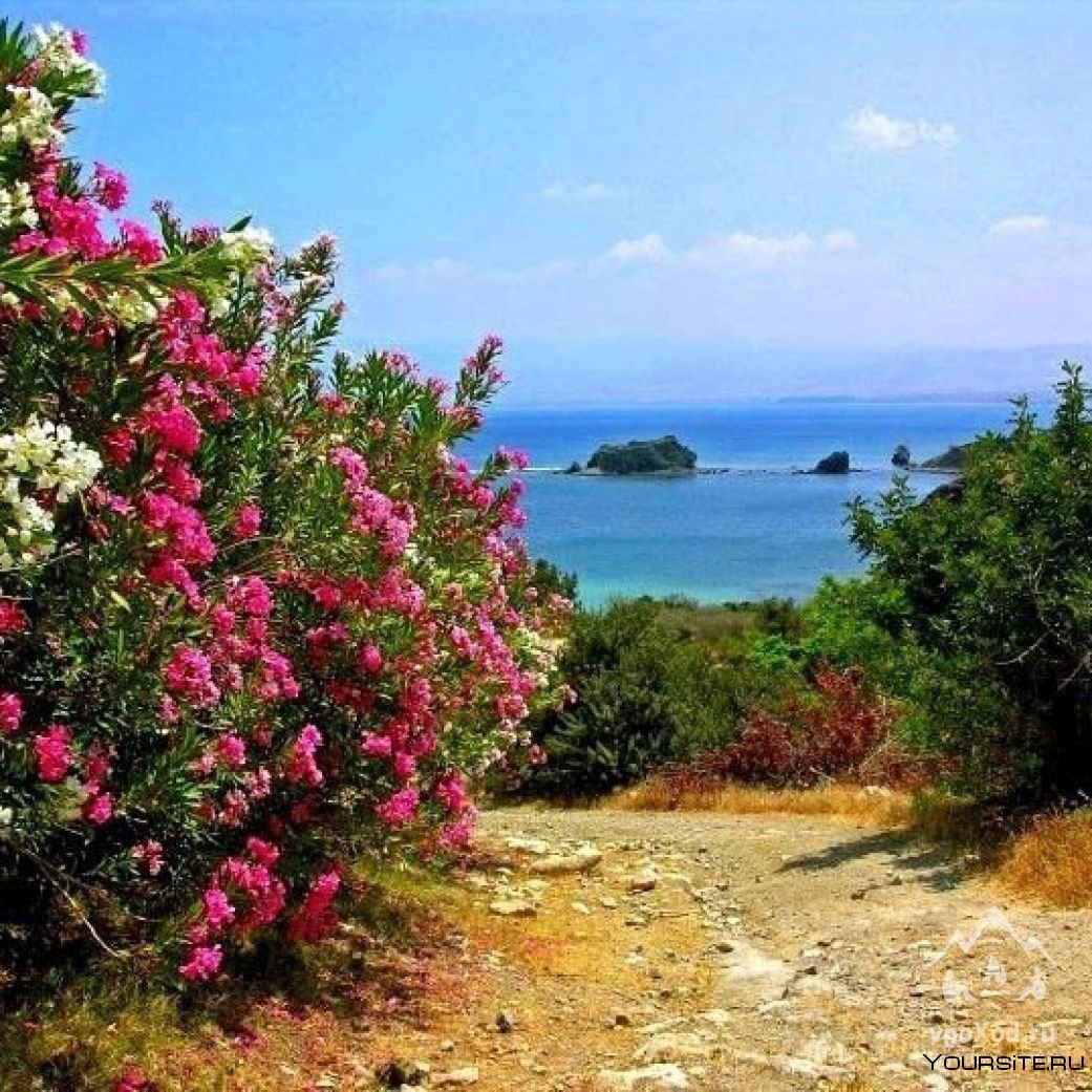 Кипр пейзажи