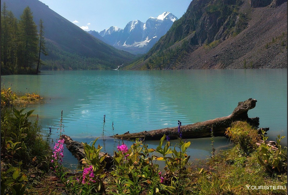 Озера Алтая горный Алтай