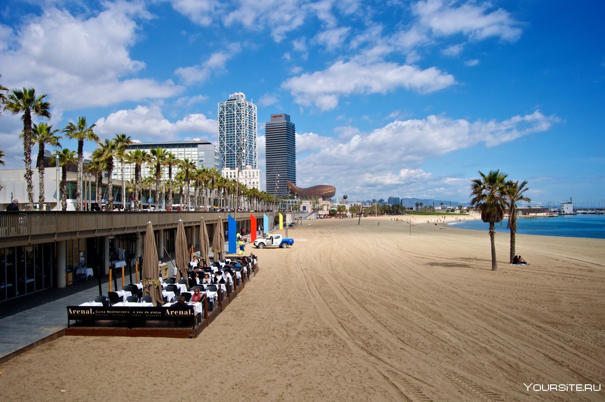 Barcelona Barceloneta Beach Spain hot Summer