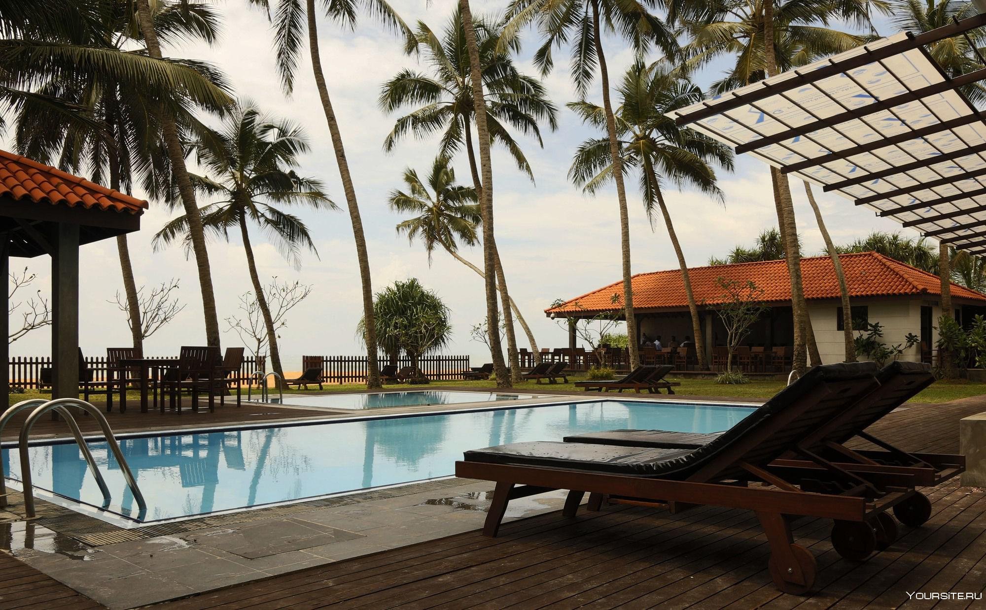 Васкадува шри ланка. Blue Beach Hotel Шри Ланка. Blue Beach Wadduwa 3 *** (Ваддува). Blue Beach Hotel 3* Шри Ланка. Ваддува Шри Ланка.