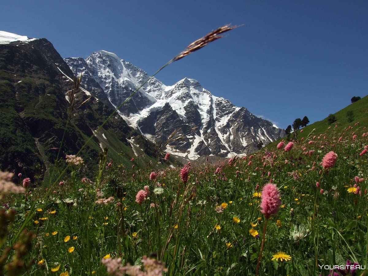 Горы: Кавказ (г. Эльбрус 5642 м)