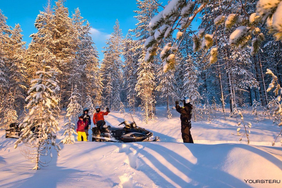 Велт Карельские путешествия снегоходы