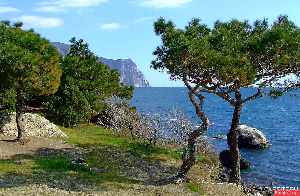 Кипр остров Пиния