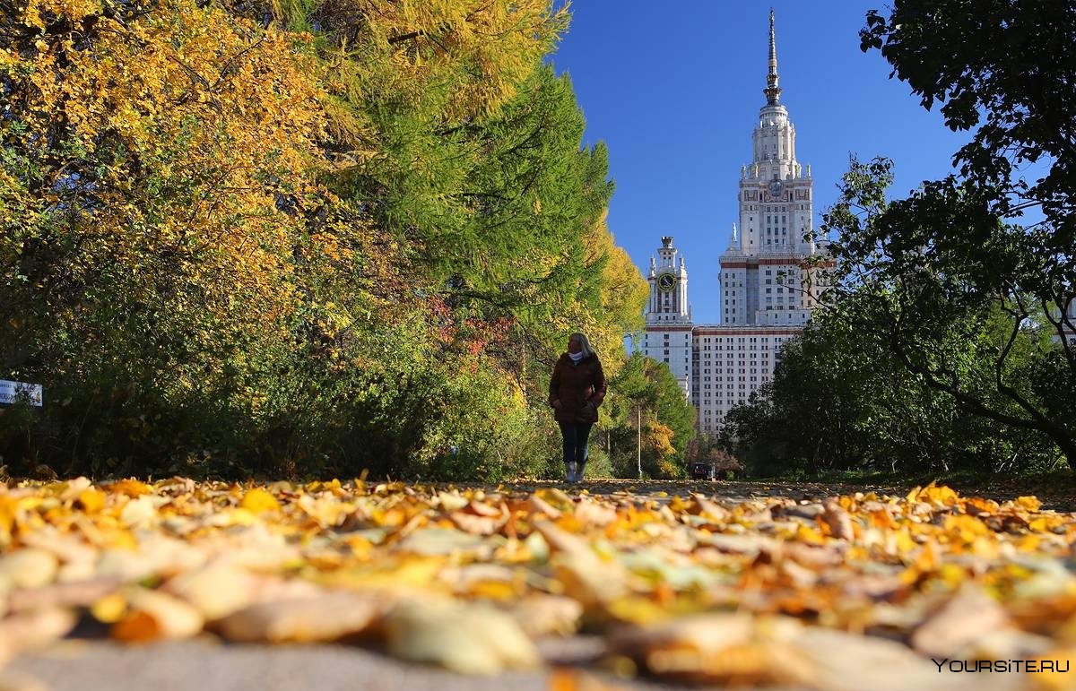 Осень в городе Москва