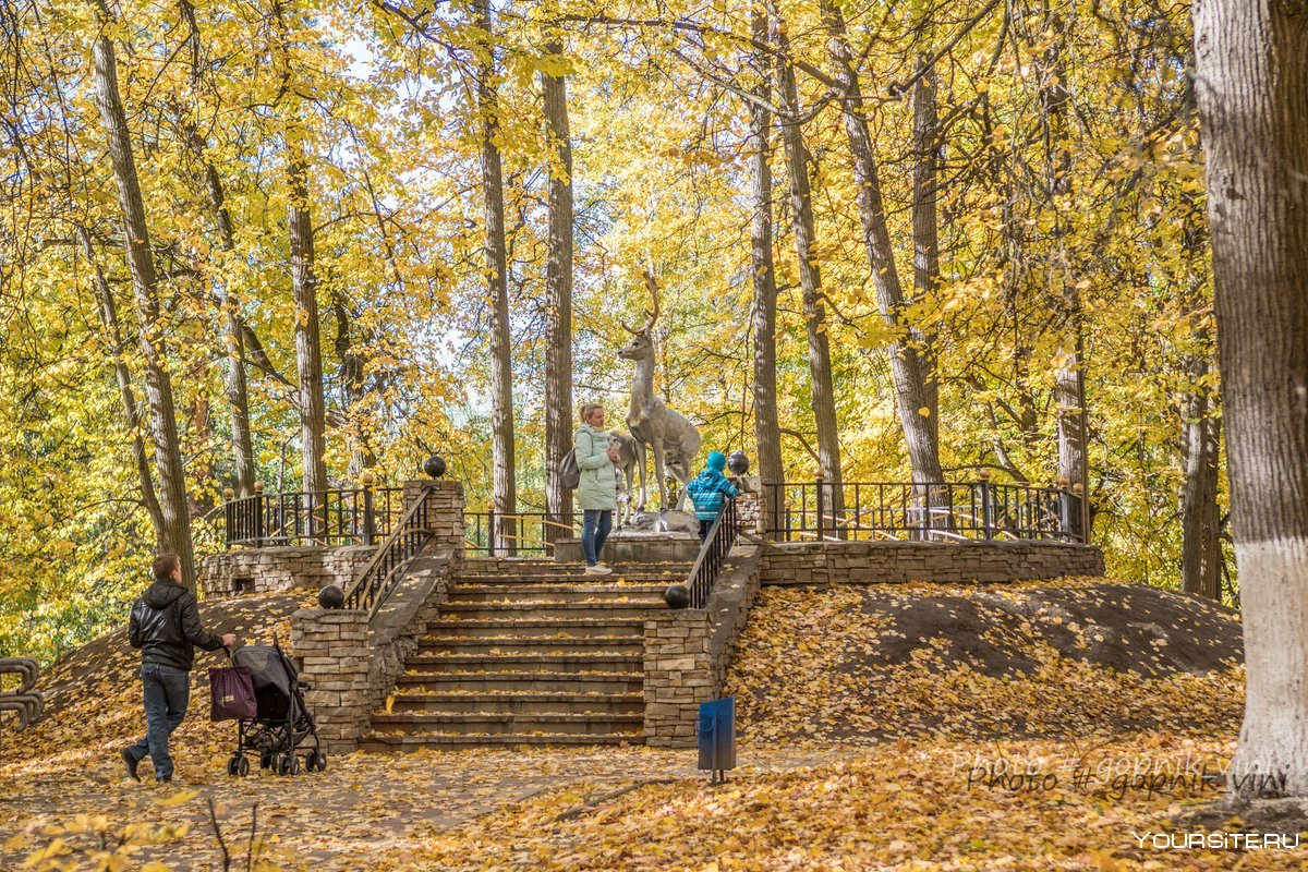 Фотографироваться в Курске осенью