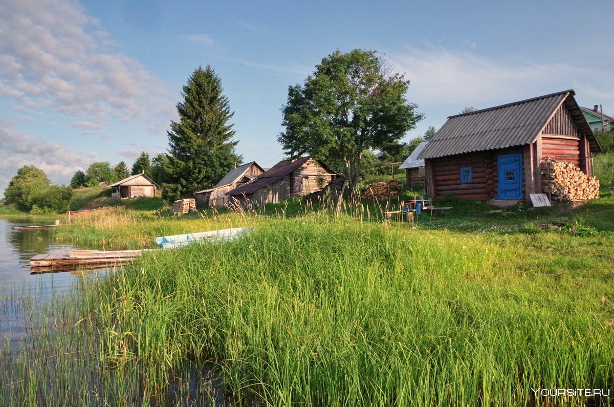 Деревня Бережок Вологодская область