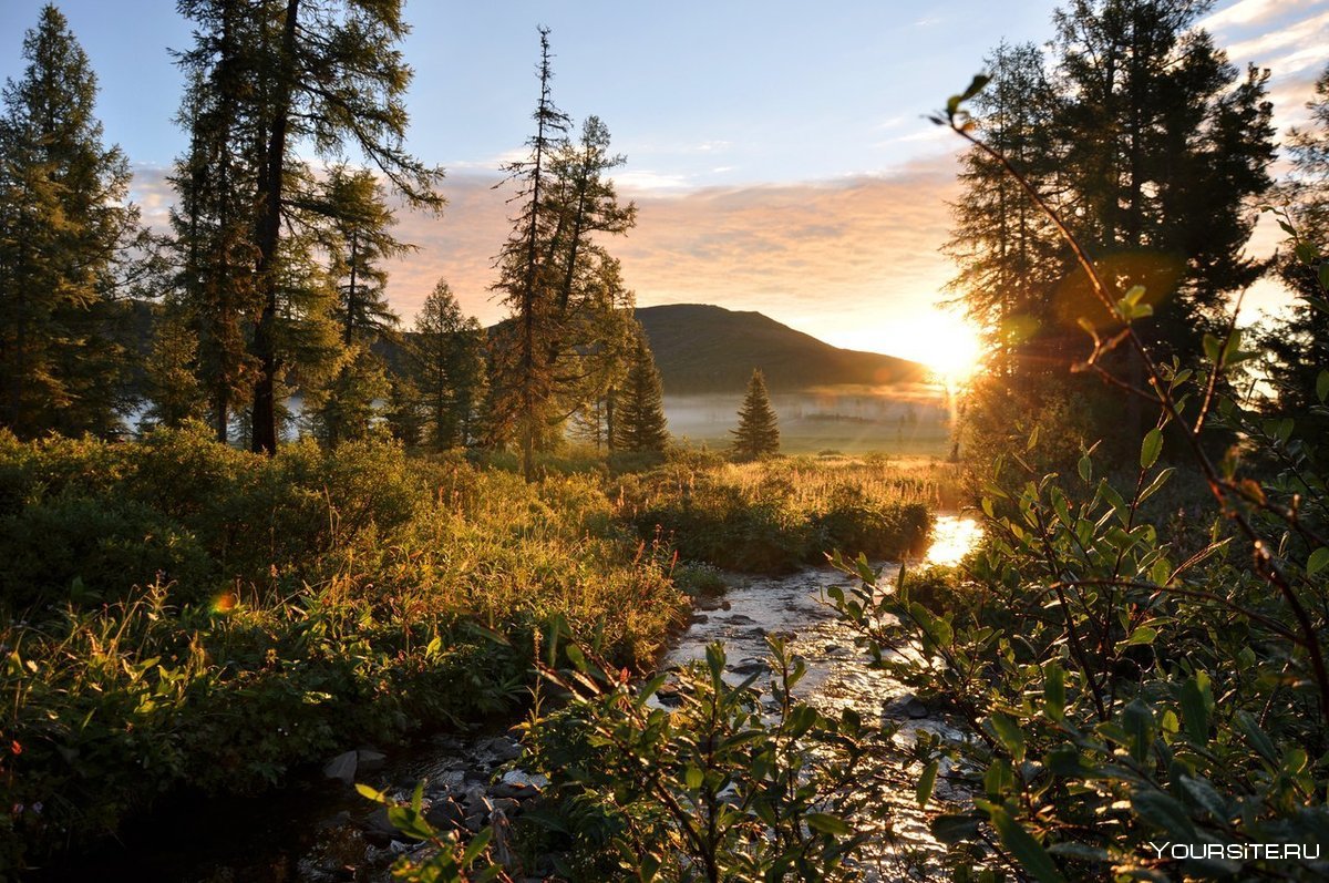 Национальный парк Оуланка Финляндия летом