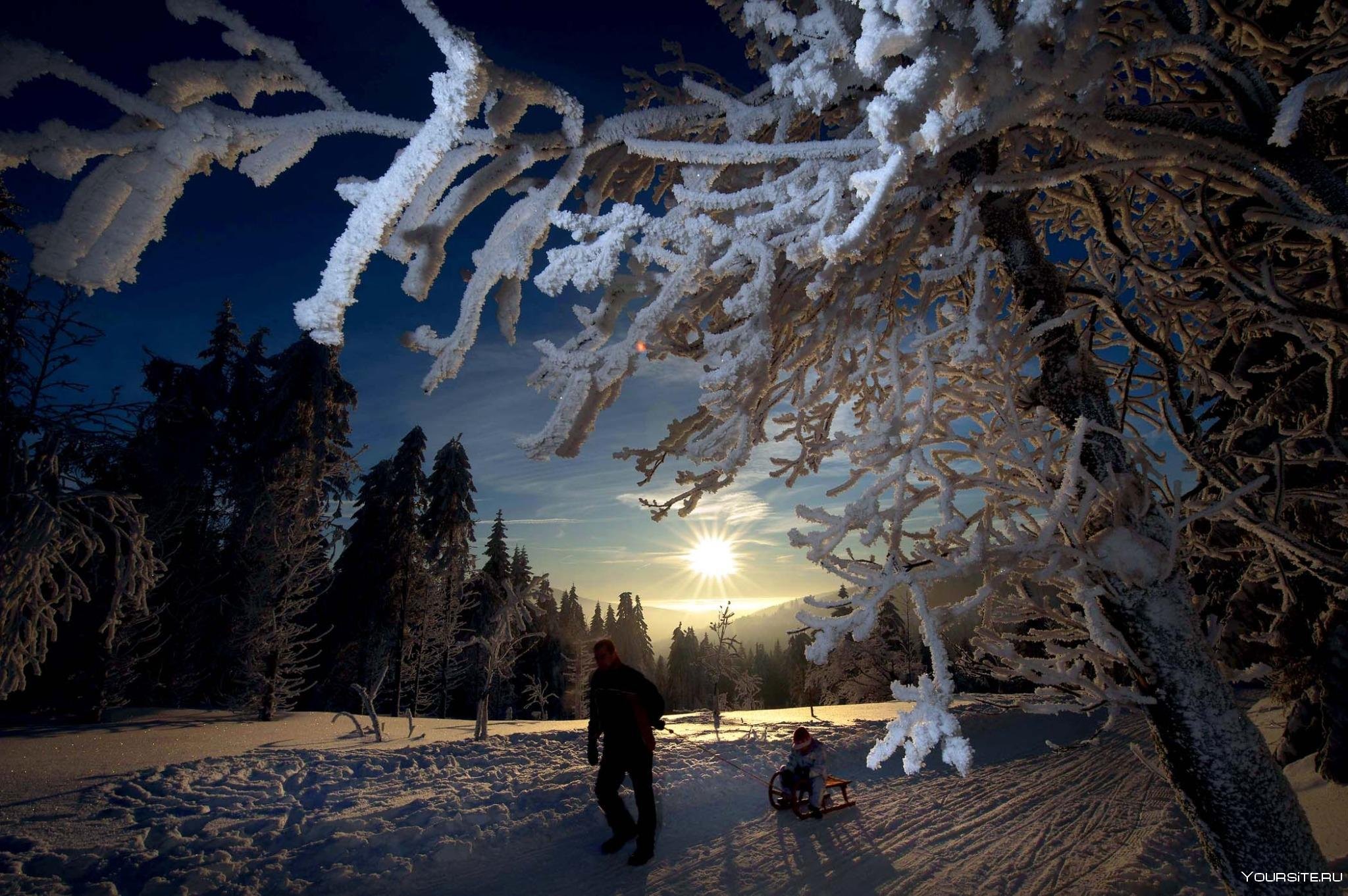 Картинка необычный зима. Зимний пейзаж. Зимняя природа. Красивая зима. Красота зимы.