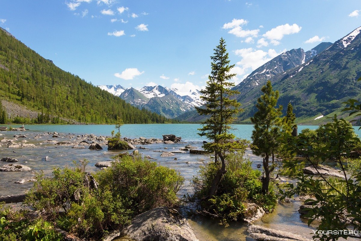 Природа озера и горные реки Алтая