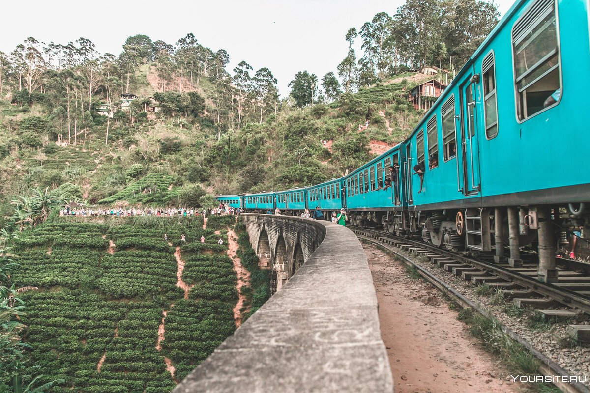 Поезд Шри Ланка самый живописный