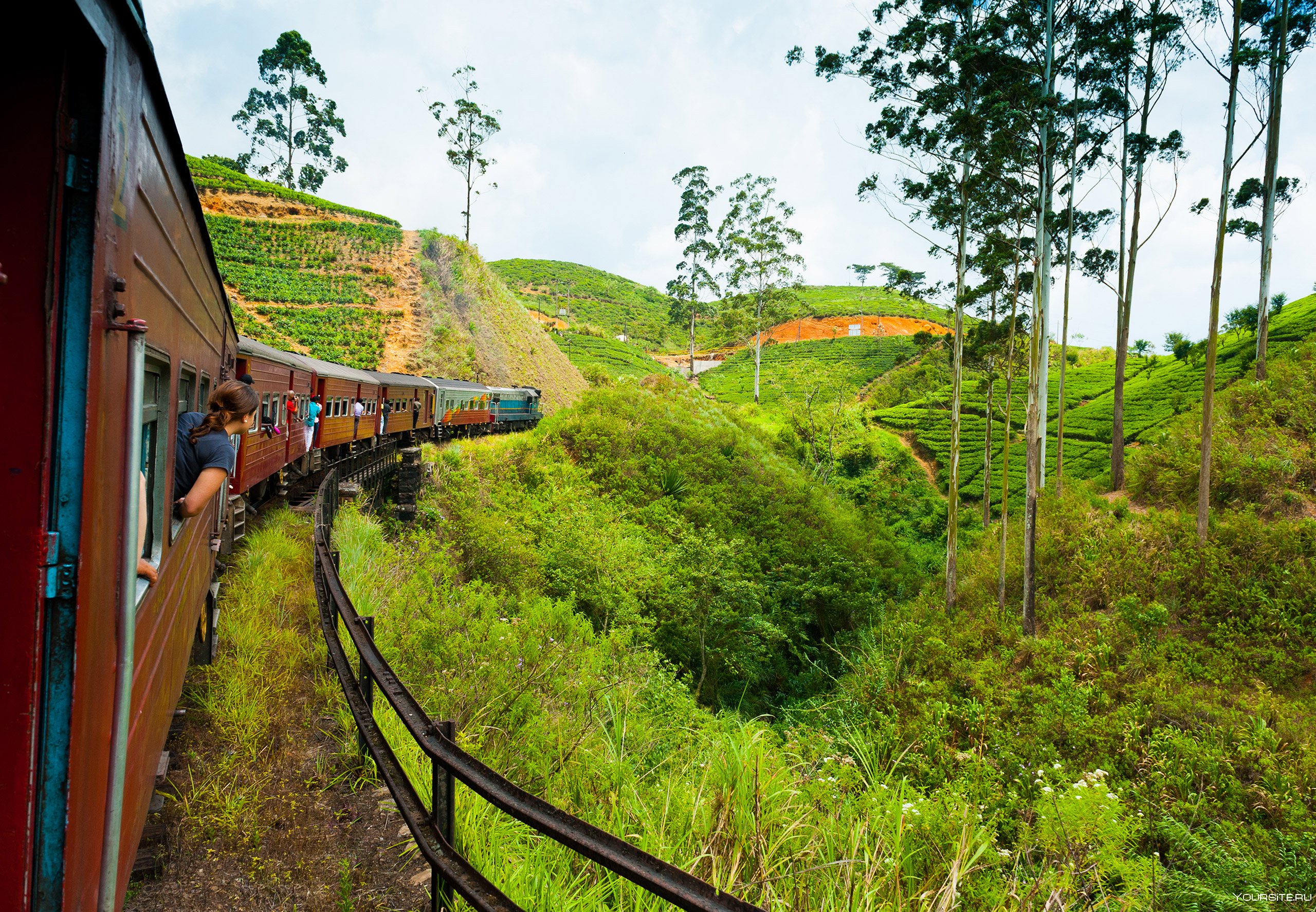 Веб камеры шри ланка. Шри Ланка железная дорога. Шри Ланка поезд. Шри Ланка поезд через джунгли. Шри Ланка ЖД дорога.