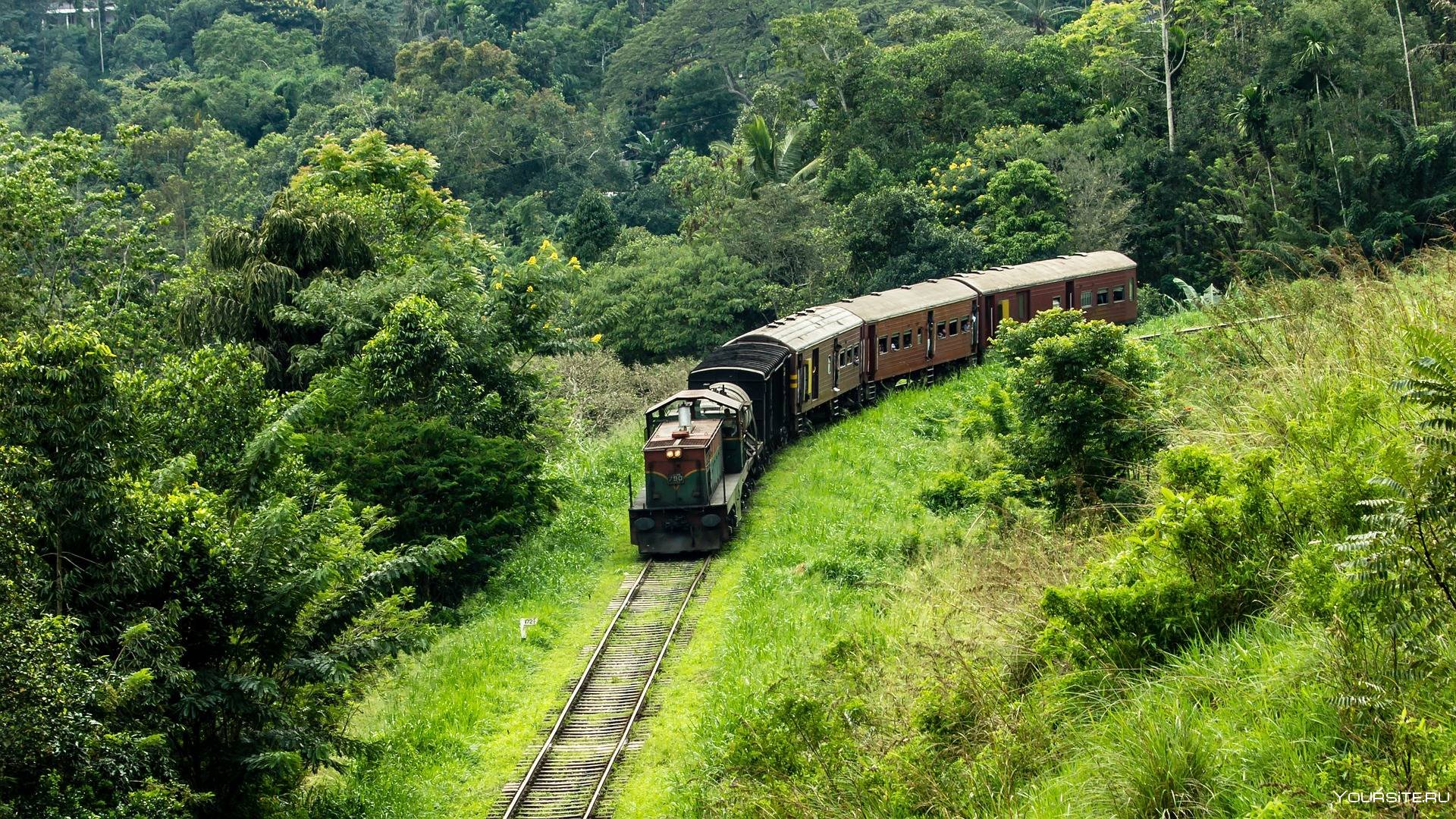 Шри ланка дорого. Шри-Ланкийская железная дорога. Цейлон остров поезда.