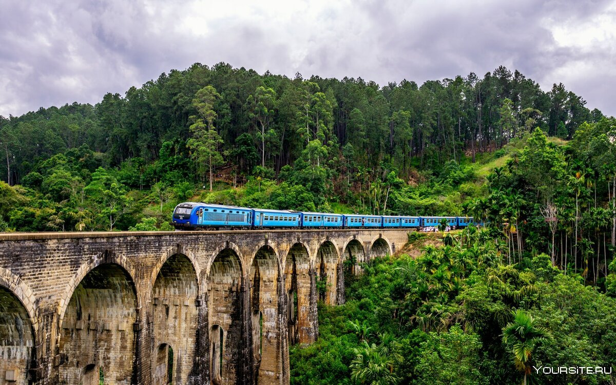 Шри Ланка поезд девушка