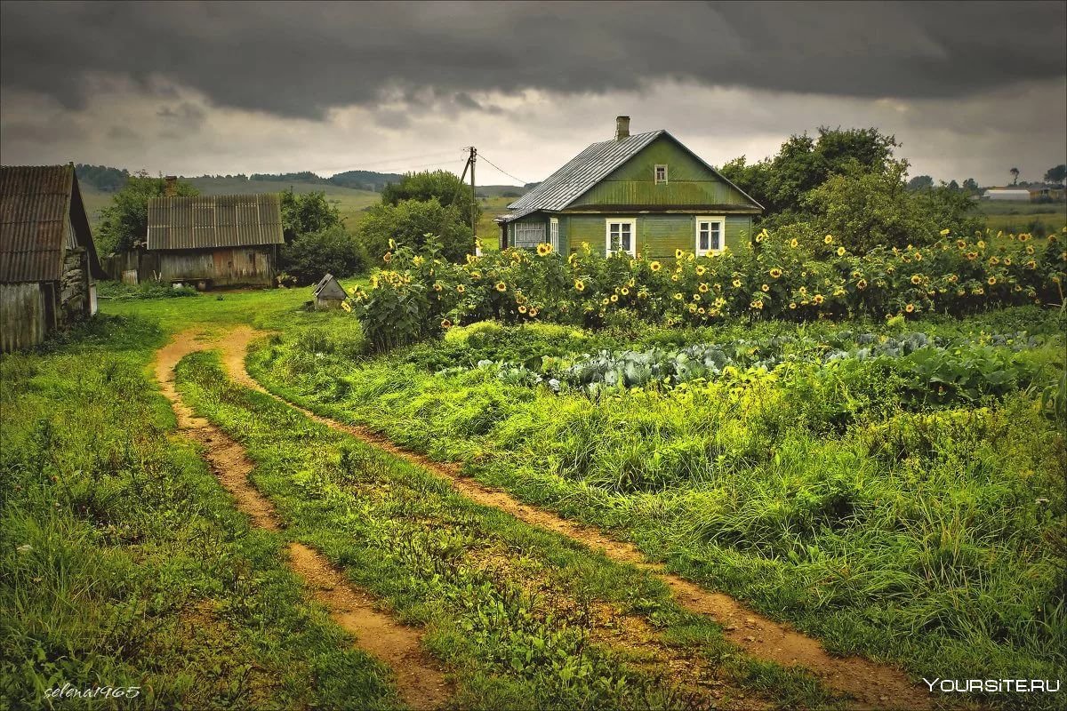 Поселок русская деревня