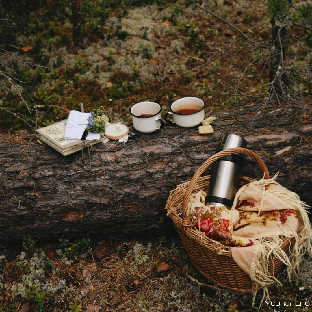 Пикник в осеннем лесу