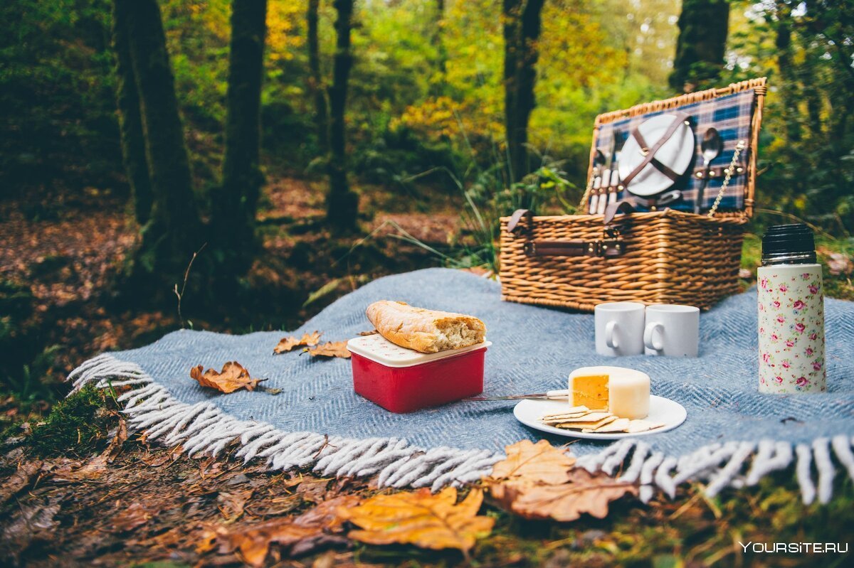 Идеальный пикник на природе