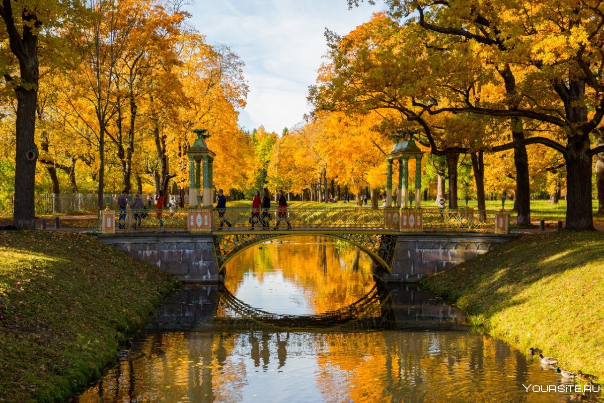 Царское село осенью Александровский парк