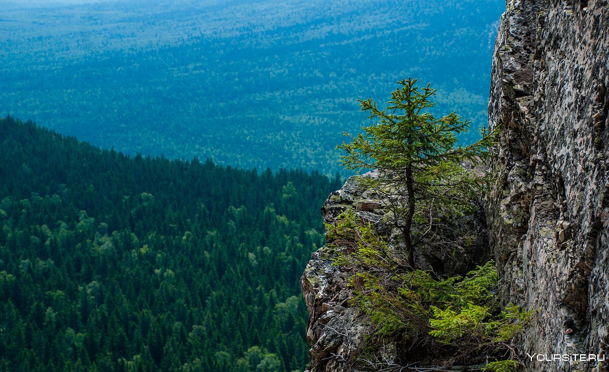 Парк Таганай Златоуст